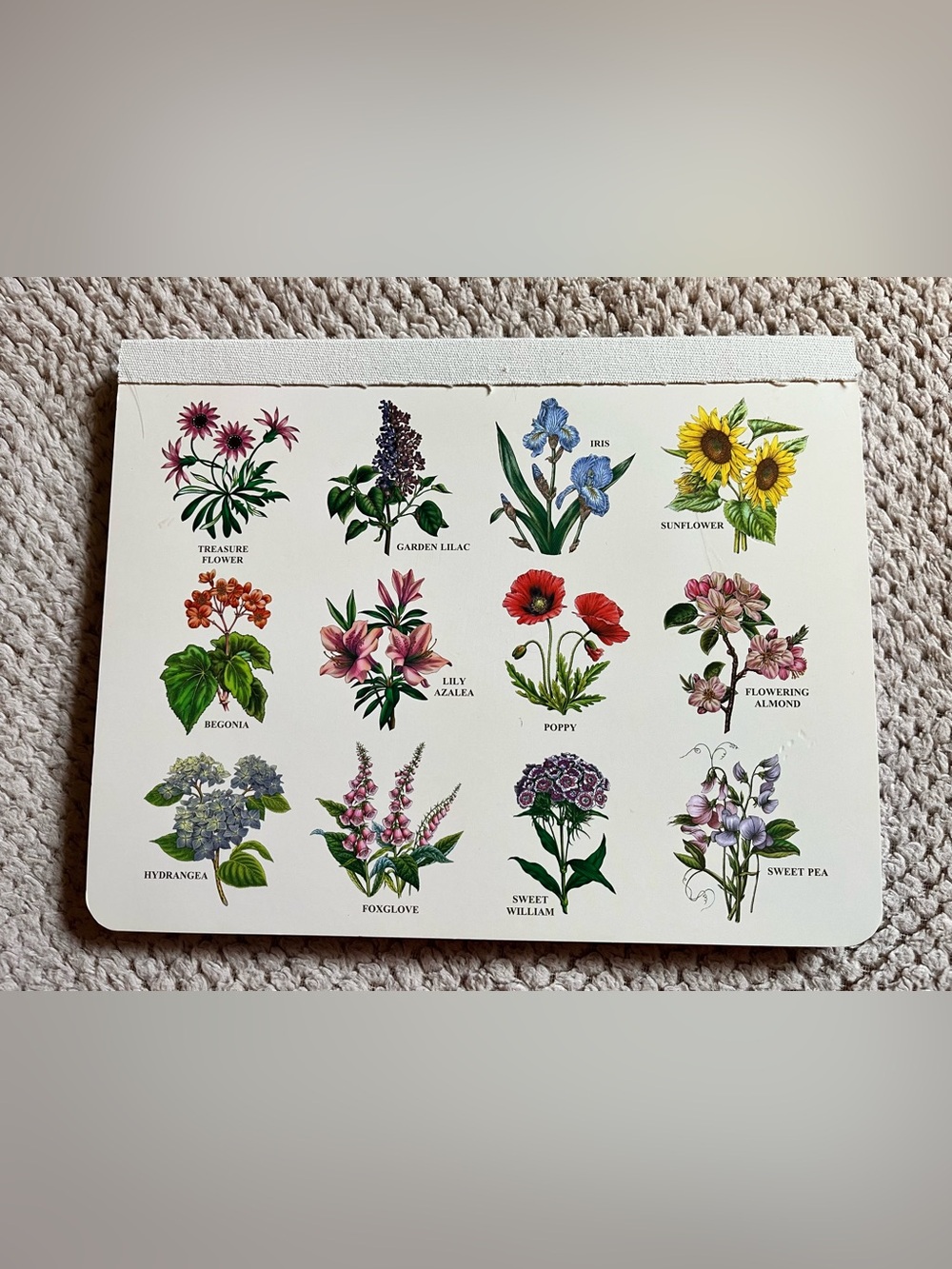 👍 Free with purchase or 2/$15 Floral Weekly Planner tearaway paper pad